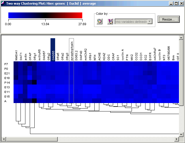 Matrix Tree